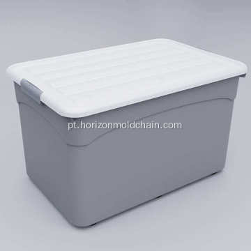 Molde de injeção de caixa de armazenamento removível